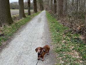 250311 draaijer 3