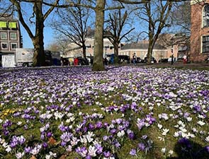 250314 doesburg 1