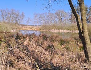 250322 wessels 1