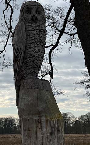 250325 luchtenberg 2