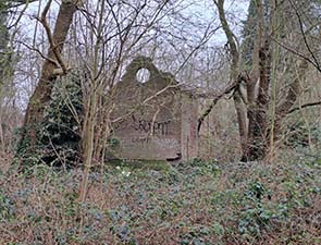 250325 wessels 1