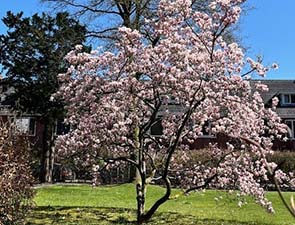 250406 doesburg 1