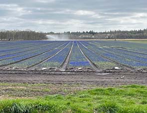 250410 draaijer 1
