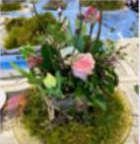kvg bloem 1